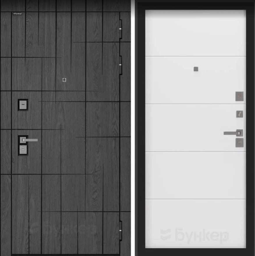 Дверь BN-09 DIS006820